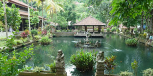 WEST BALI B : Monkey Forest, Wanagiri, Banyumala Waterfall